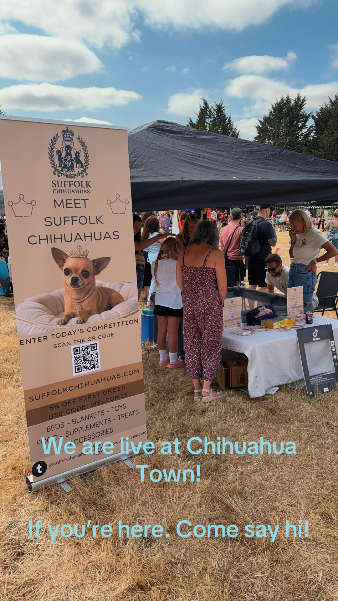 @Suffolk Chihuahuas