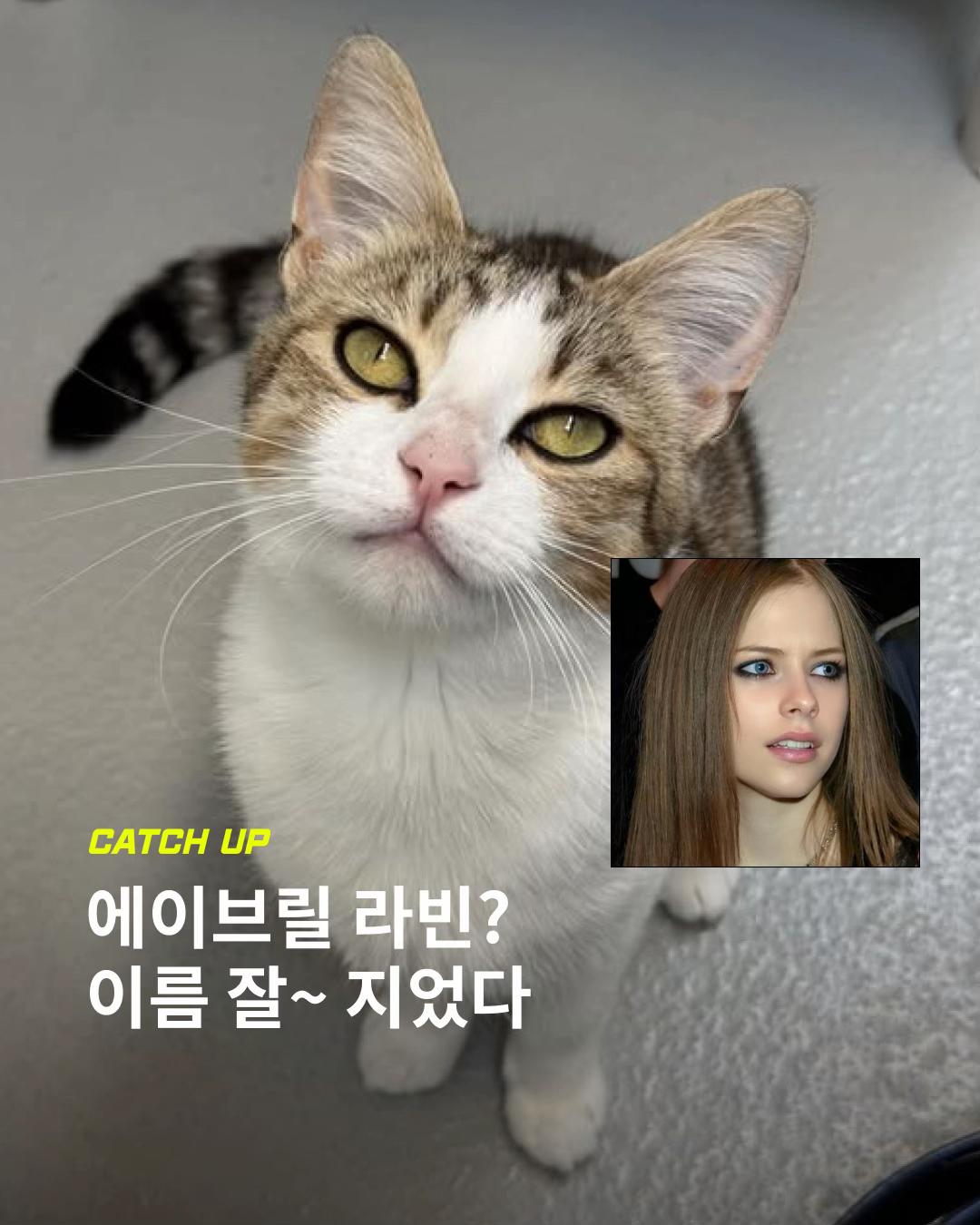 @이슈&트렌드 | 케찹