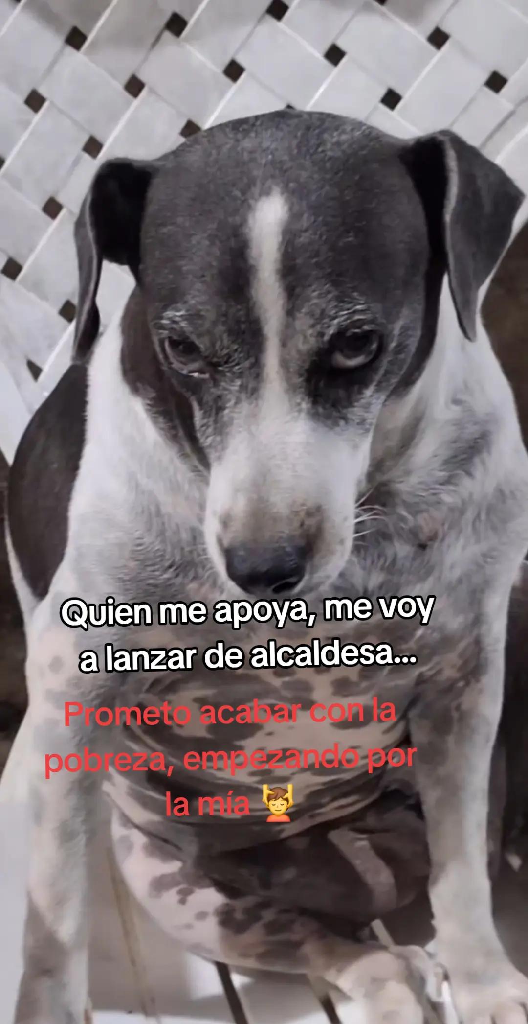 @MANCHAS 0714 OFICIAL