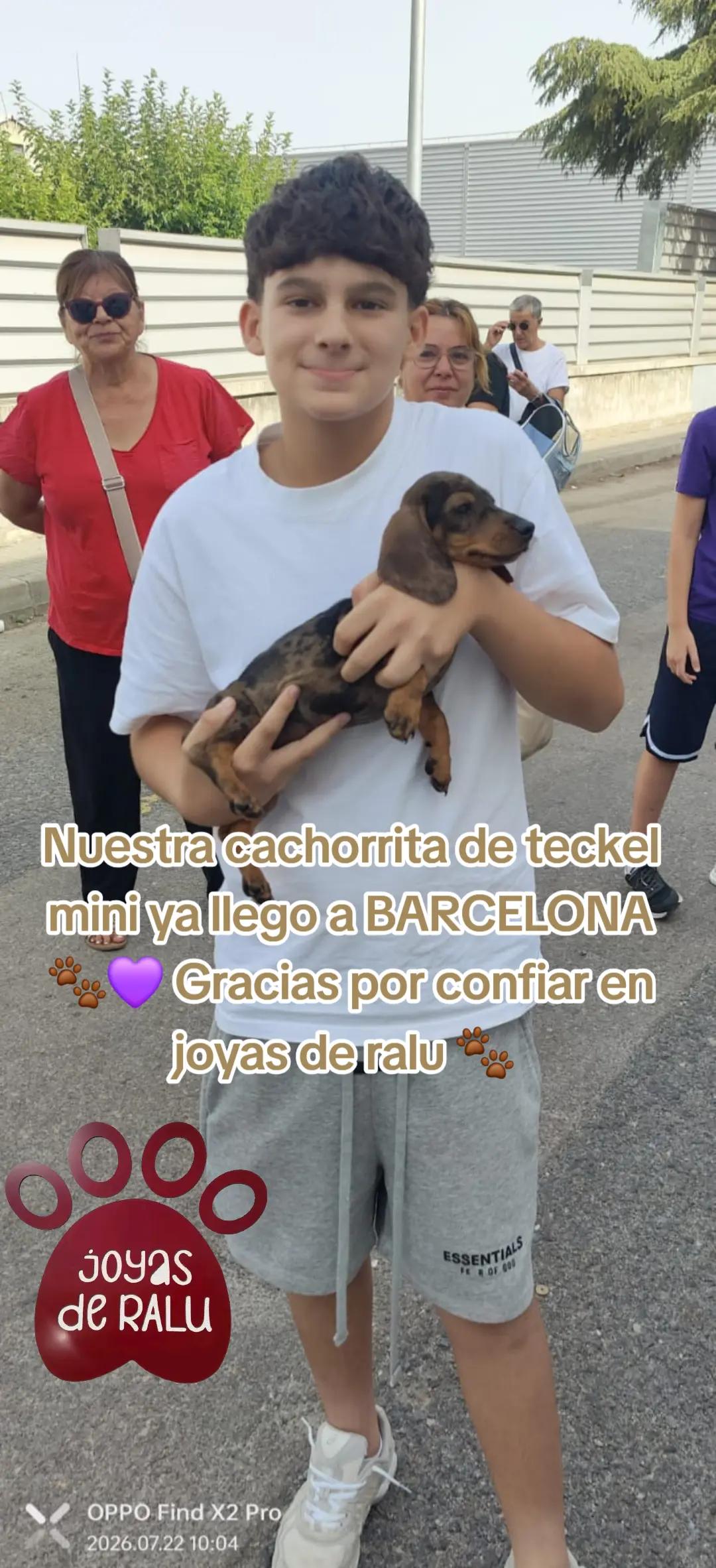 @joyas de ralu