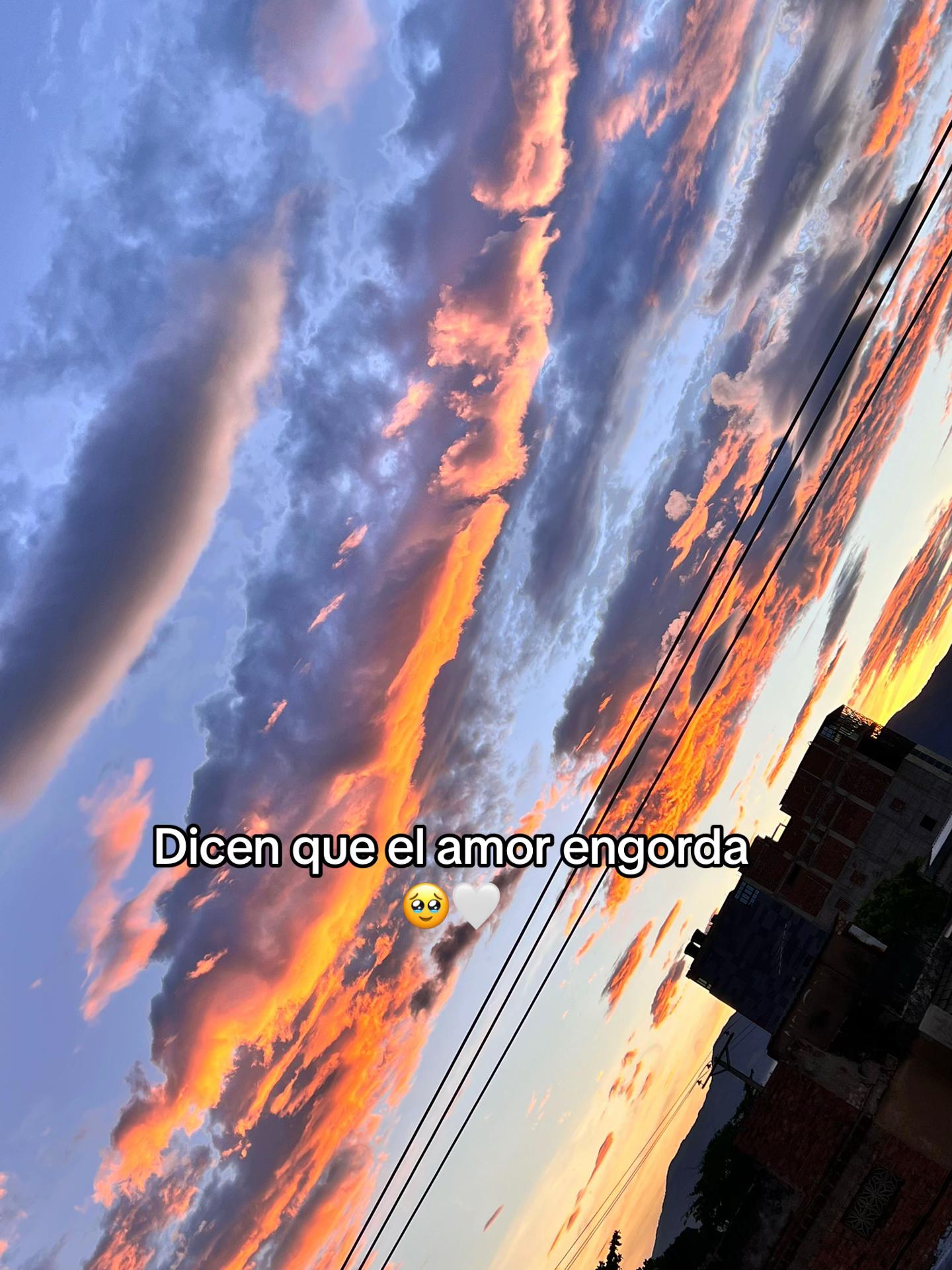 @Nina Olivera