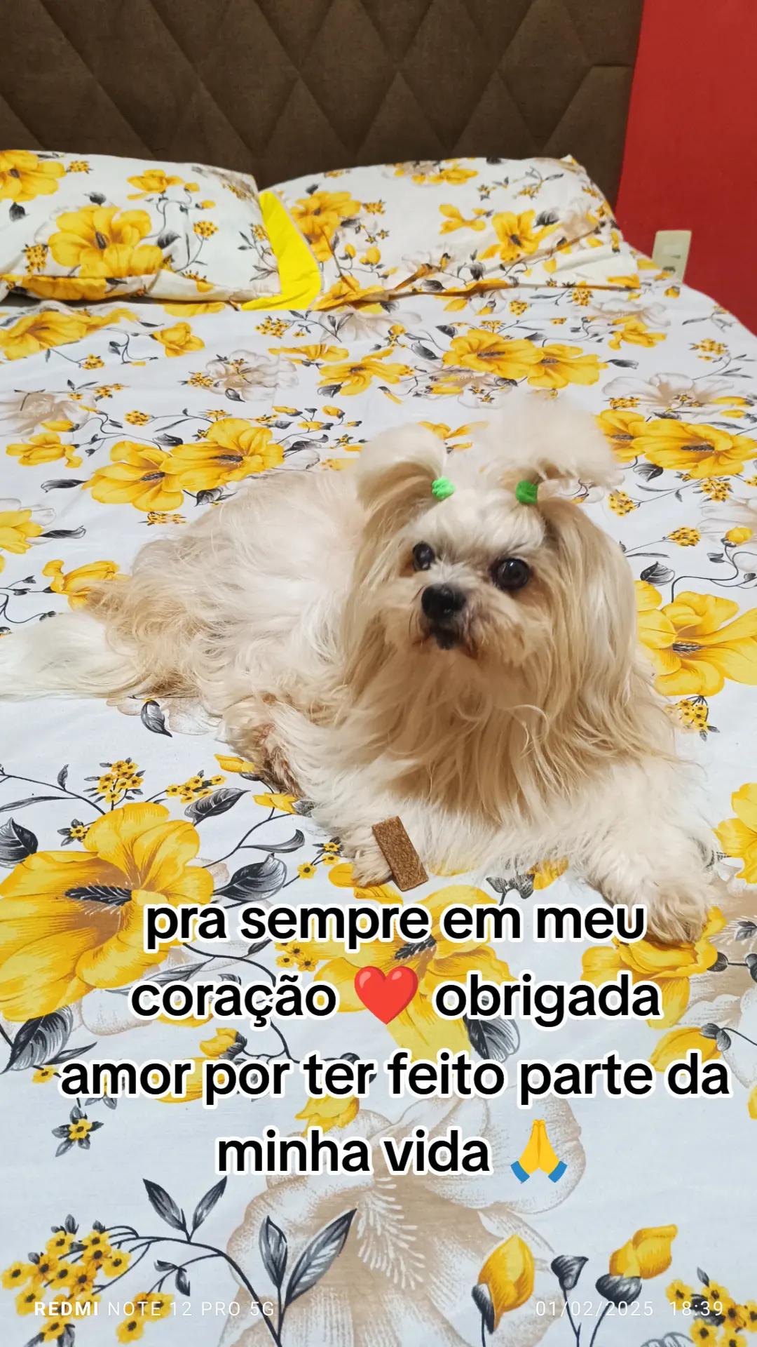 @Elaine Fernandes