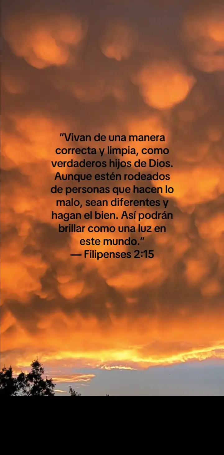 @Reflexiones.