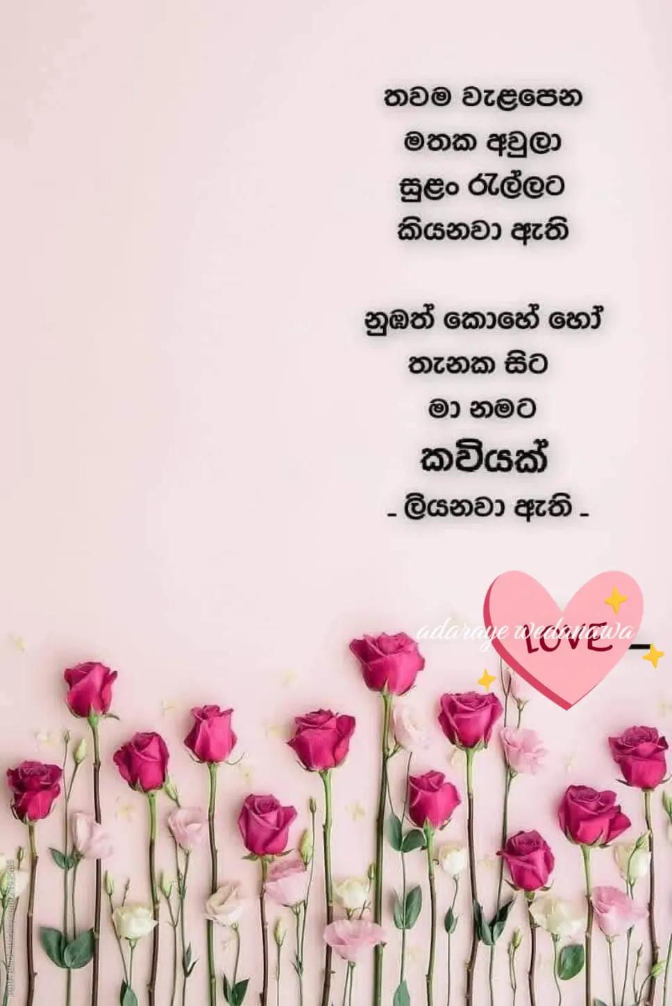 @Ramanayaka Ramanayaka
