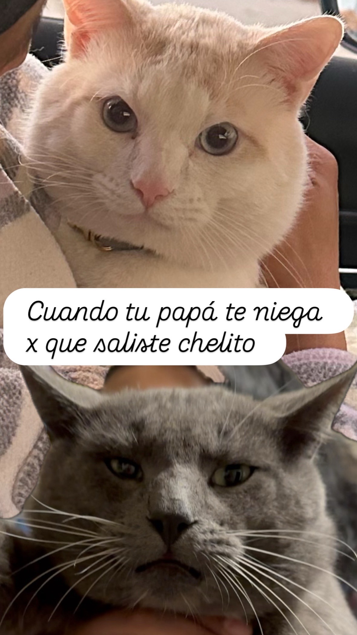 @González