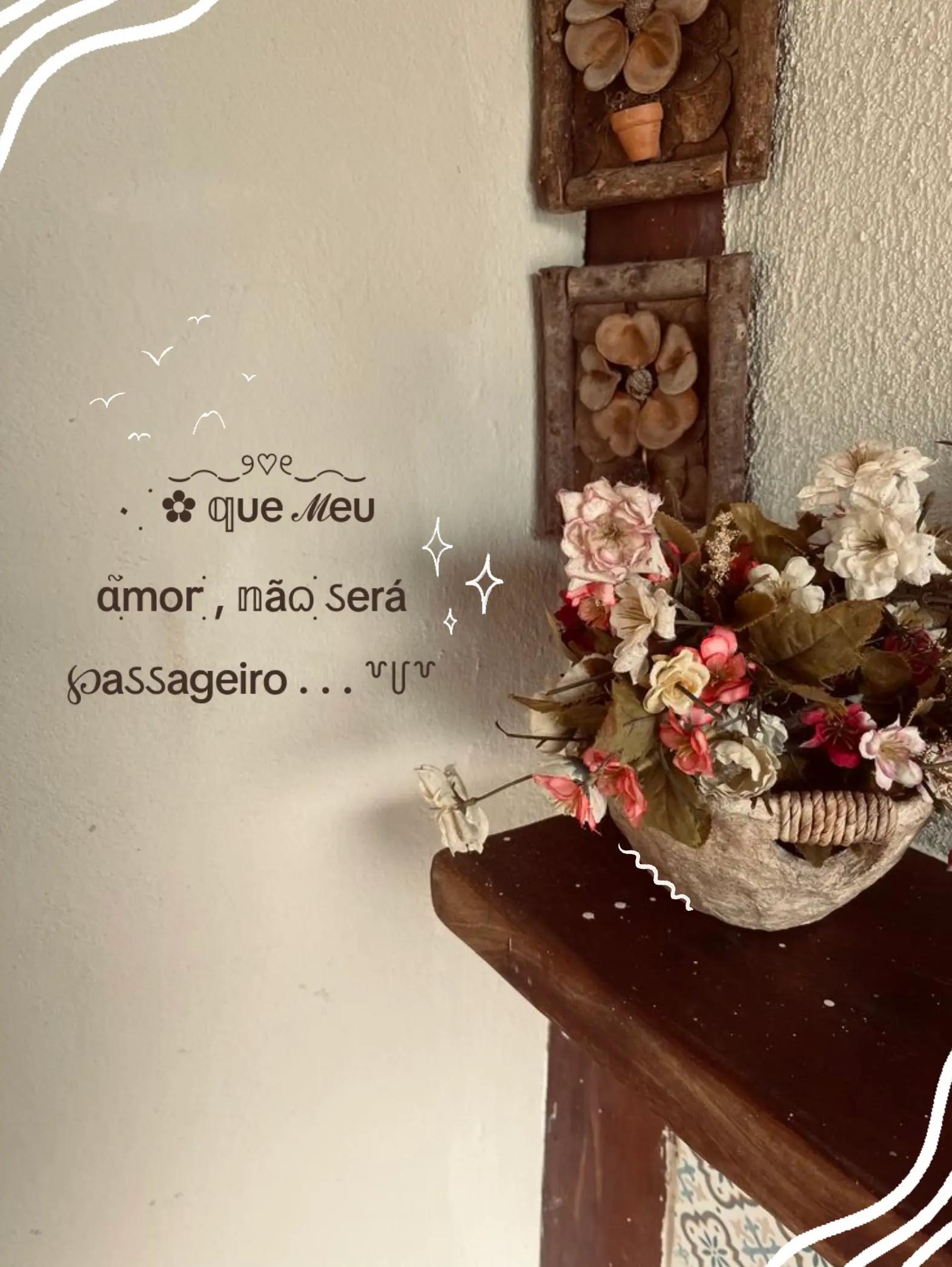 @Shiru mulher da Lia ! 🦥