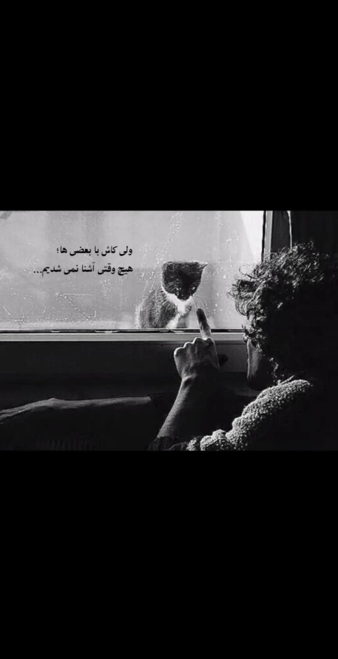 @خان 🪩صائب🐎