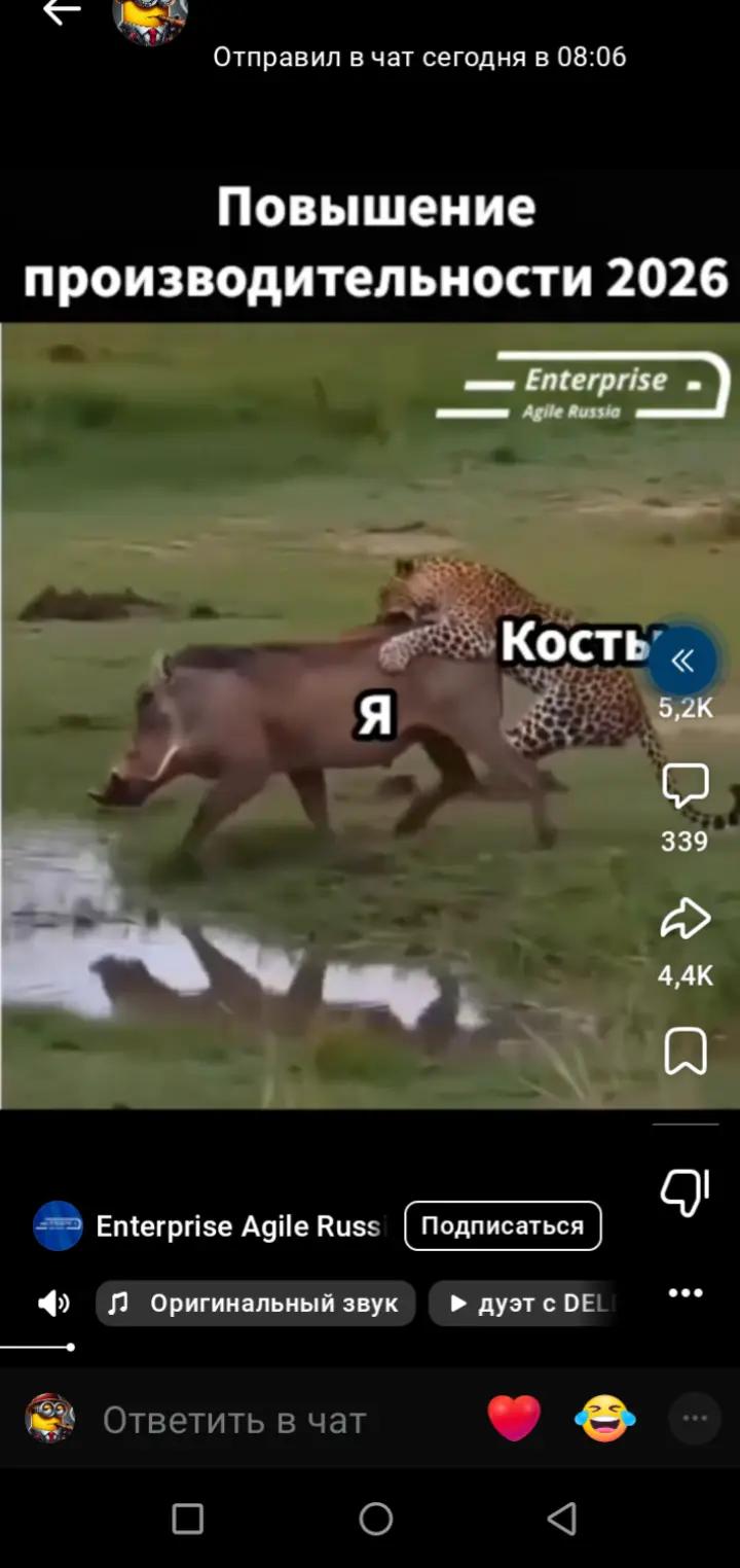 @кабан кузя