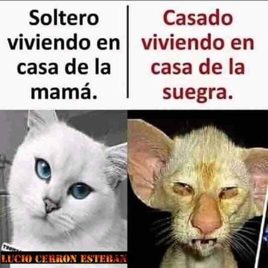 @lumy coraz&oacute;n