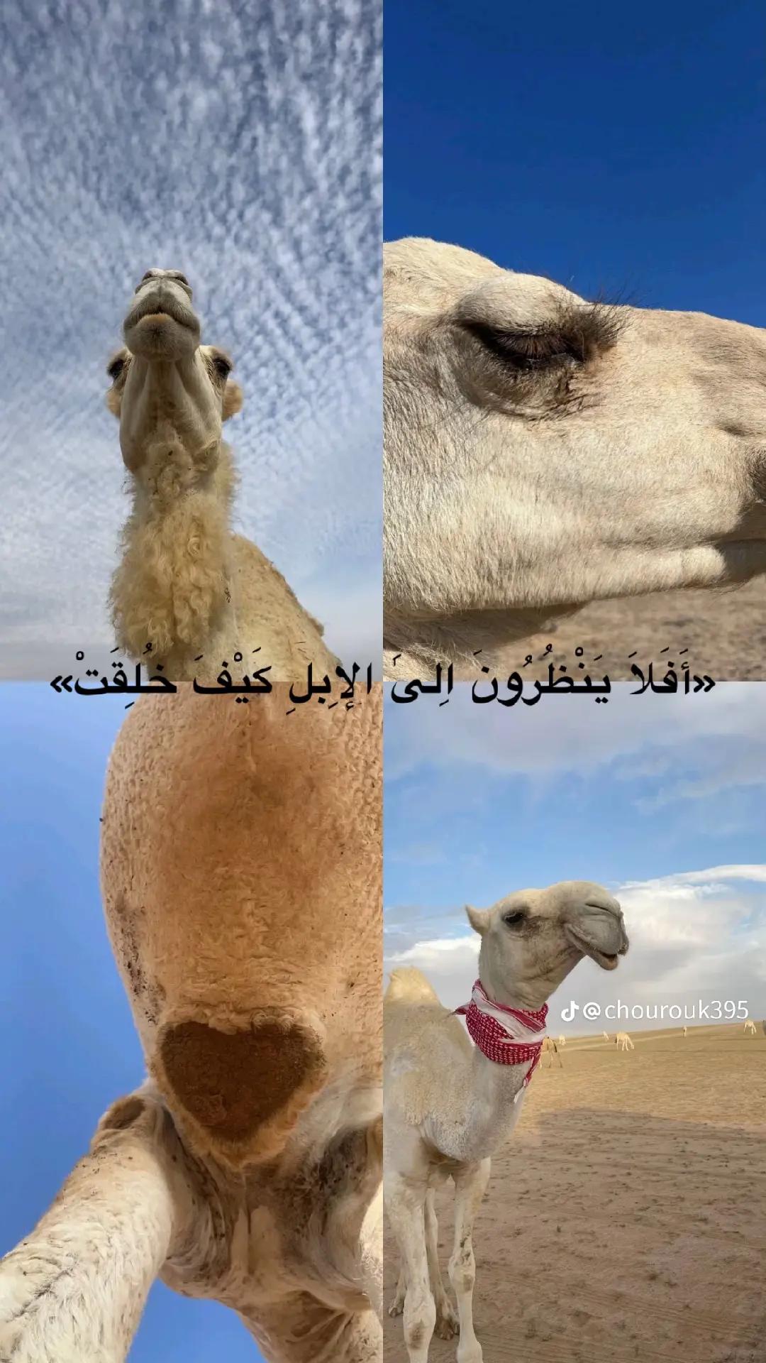 @ندوده&hearts;️☝️