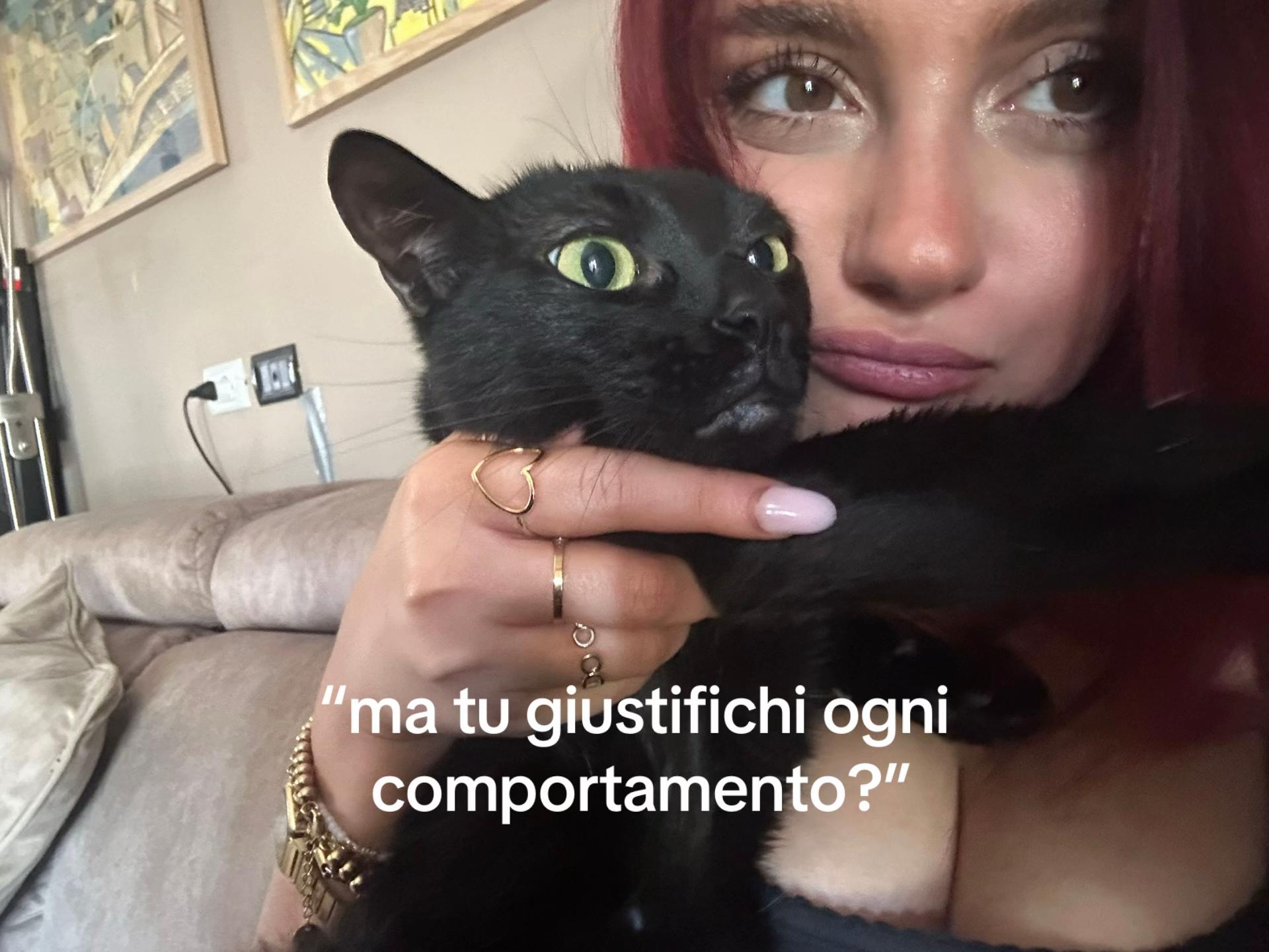 @nonsonomini🪷