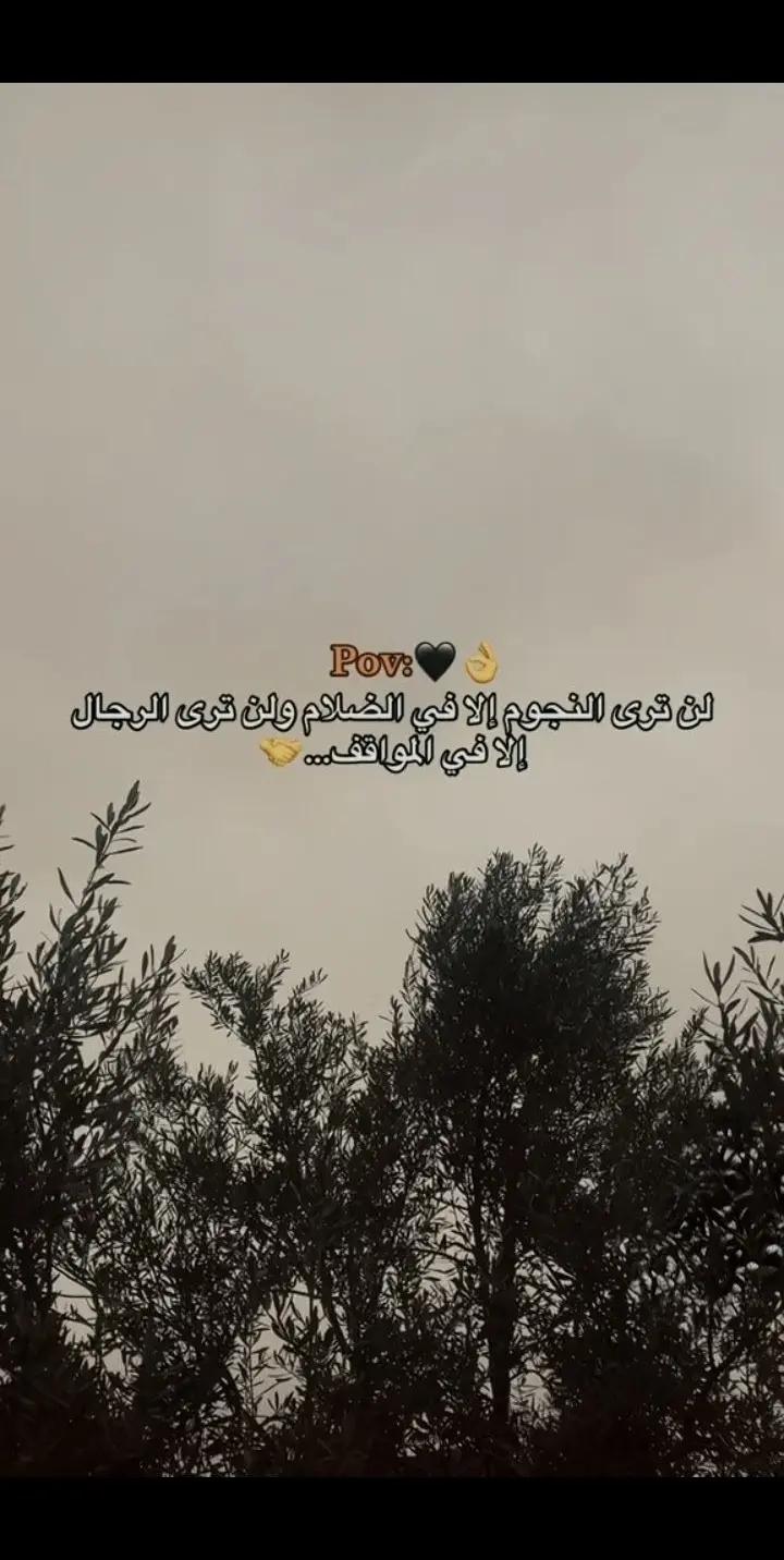 @ᎷᎾᎻᏅ ᎷᎬᎠ 🐺