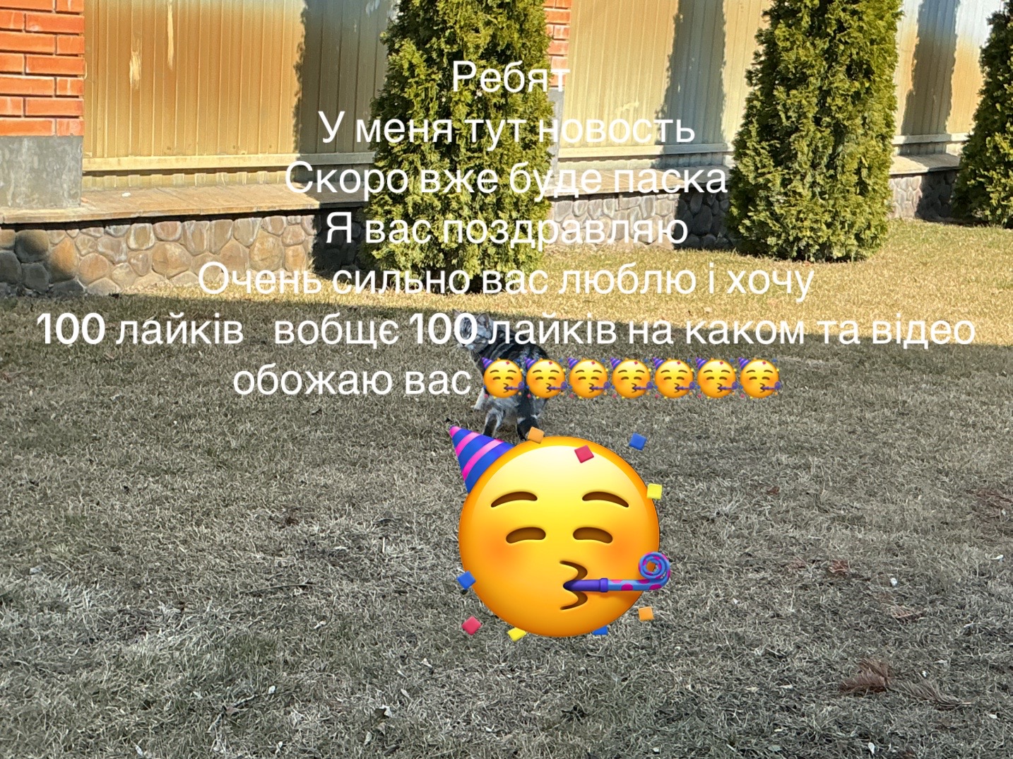 @*-* *_*