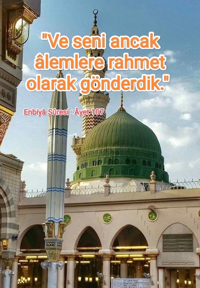@orhanmarangoz🏵️