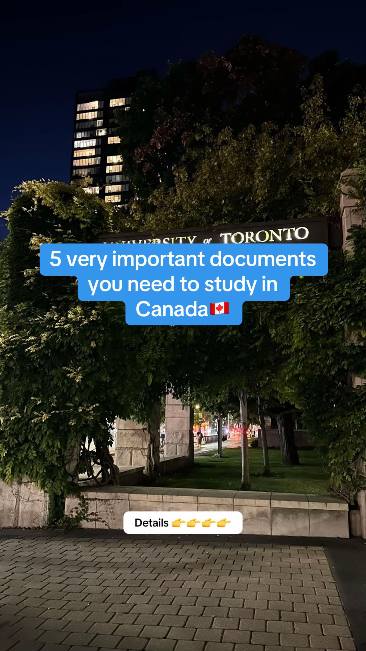 @Your Surest Study Abroad Plug