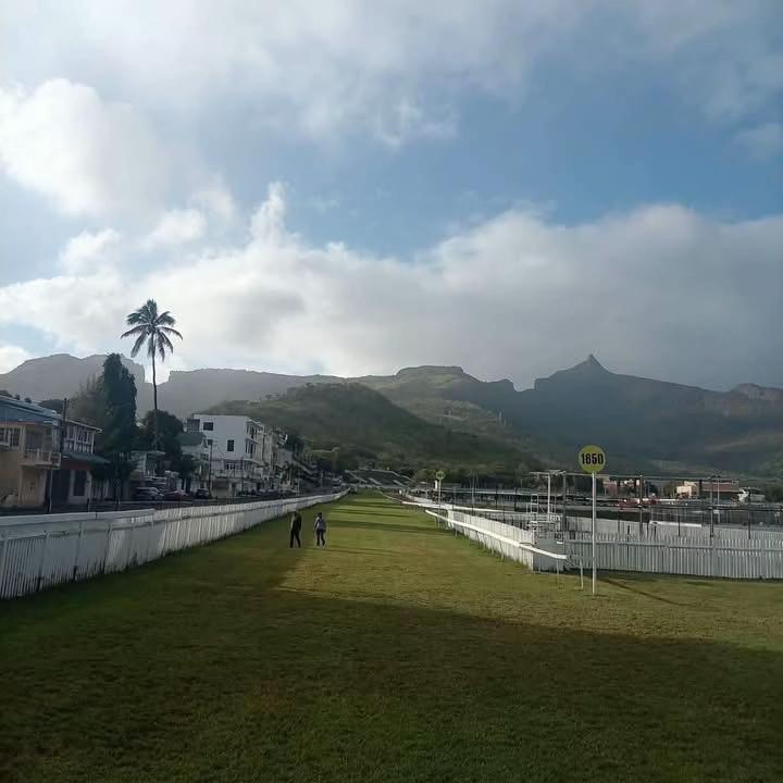 @MTCJC