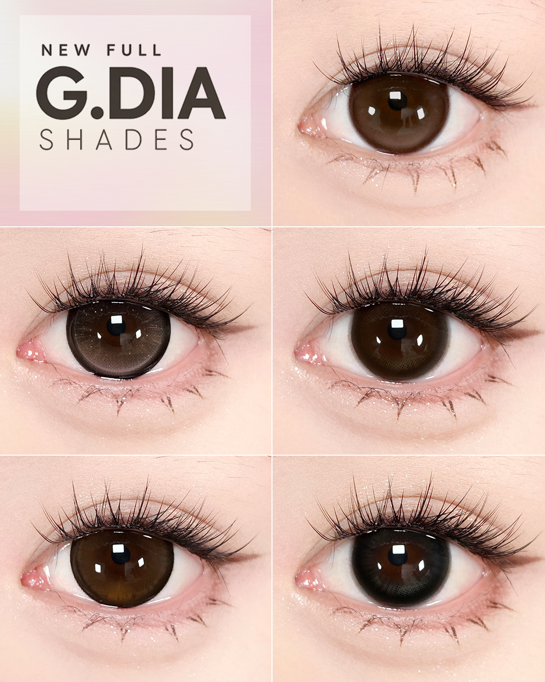 @sigocontacts_official