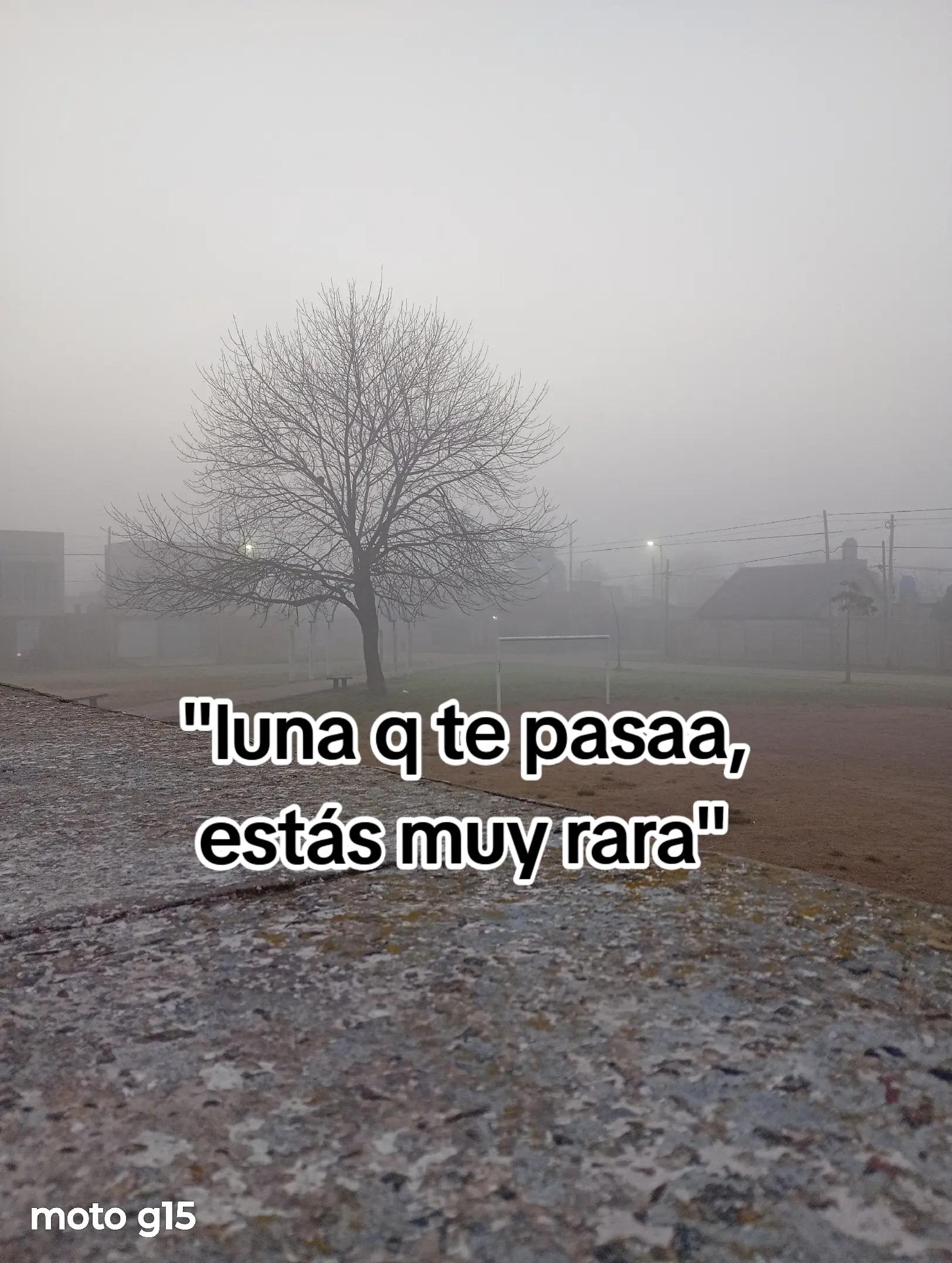 @lunaa