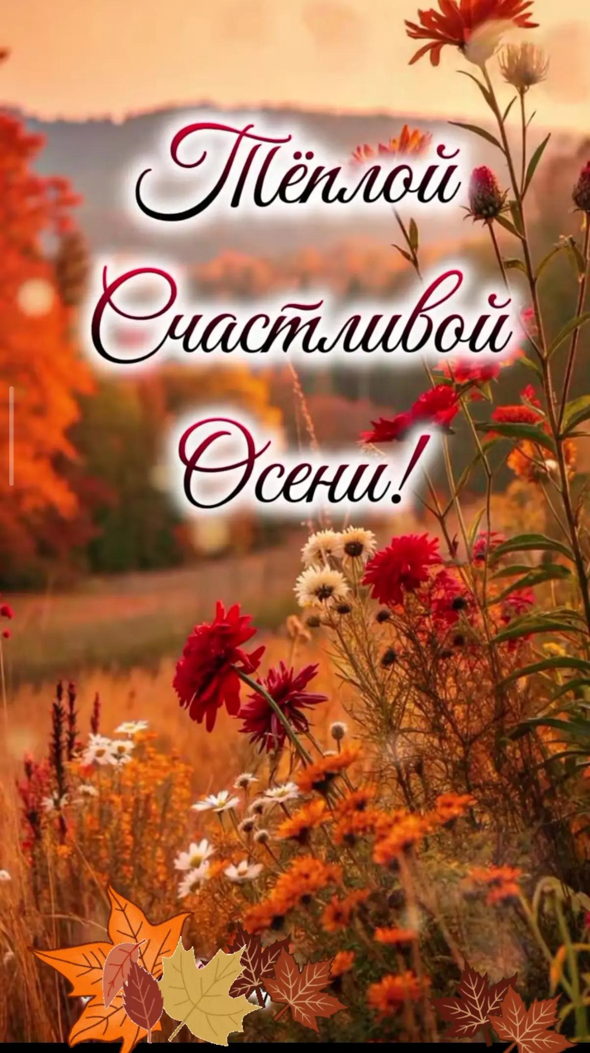 @NINA-WIOLET