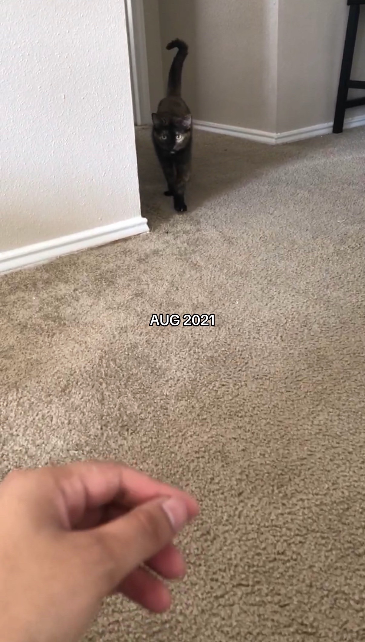@natasha