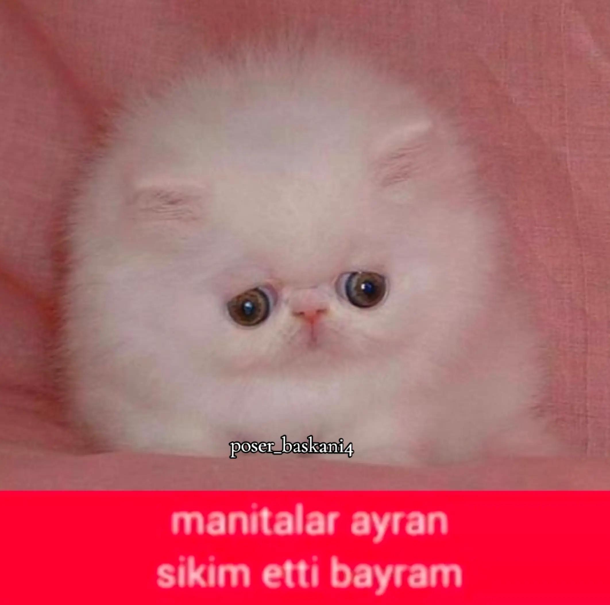 @poser_baskani4