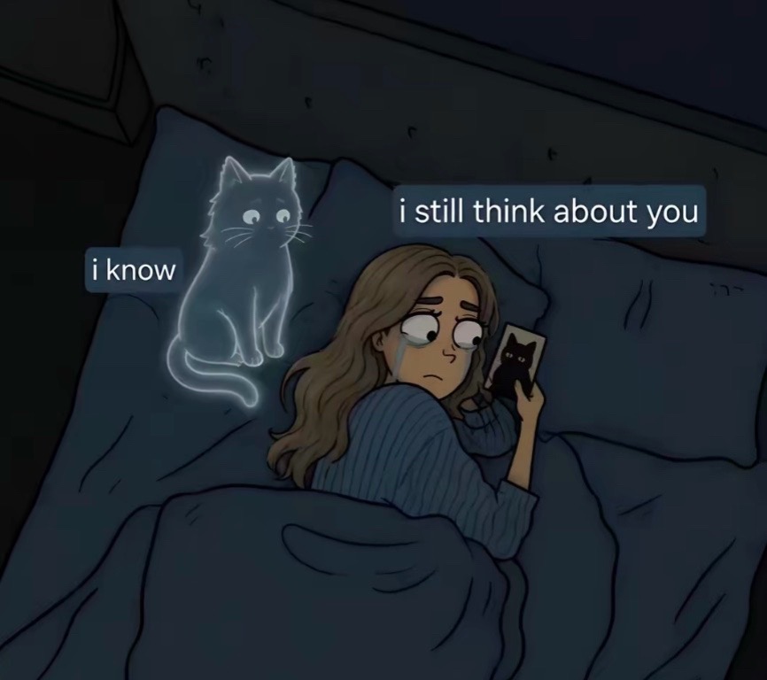 @zielyr