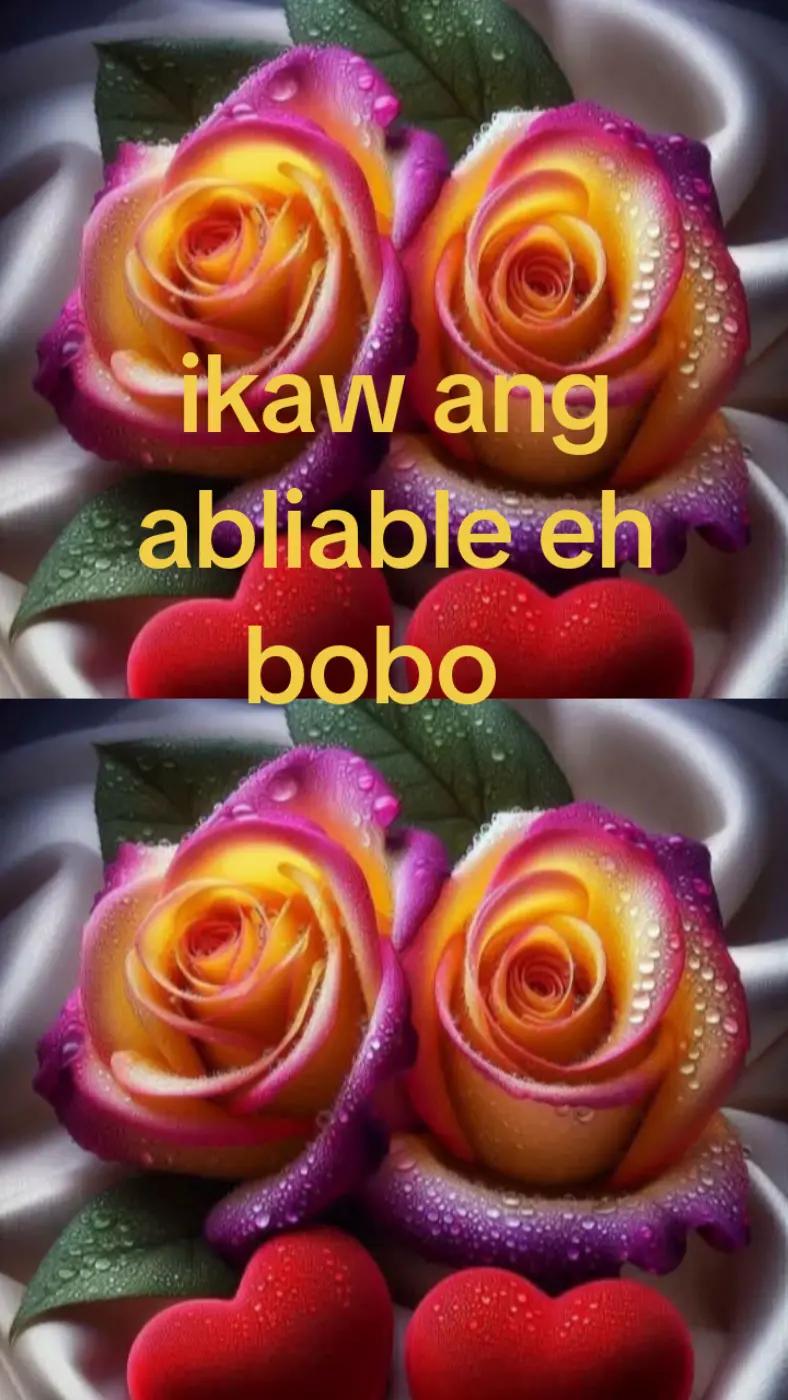 @snake Bombo