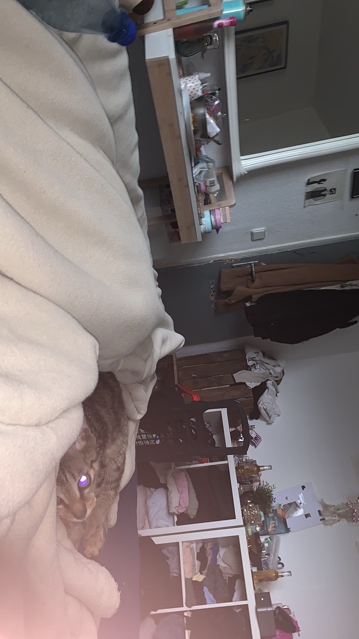 @miacgn5203