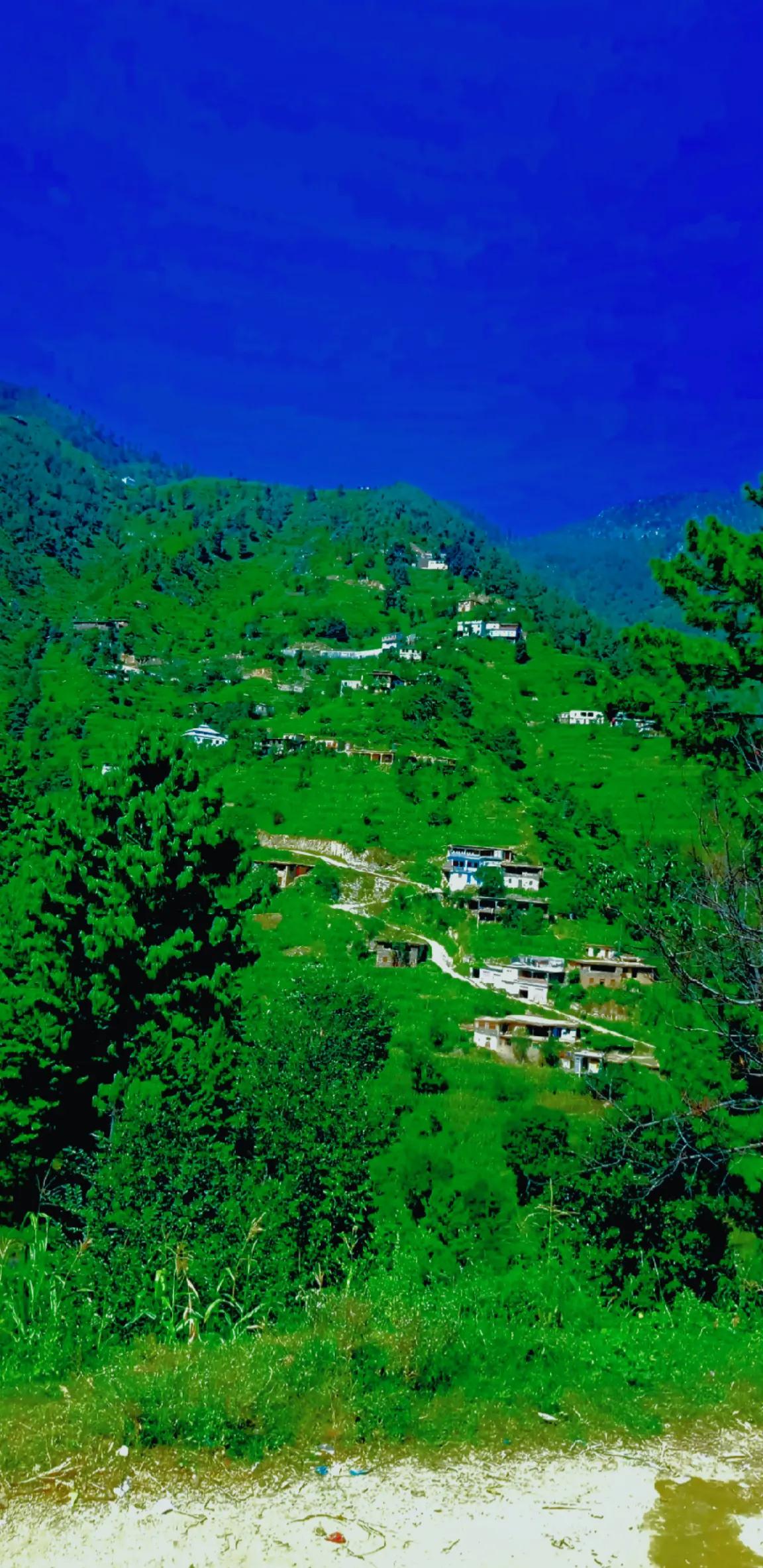 @🌲غر سنے 🌲