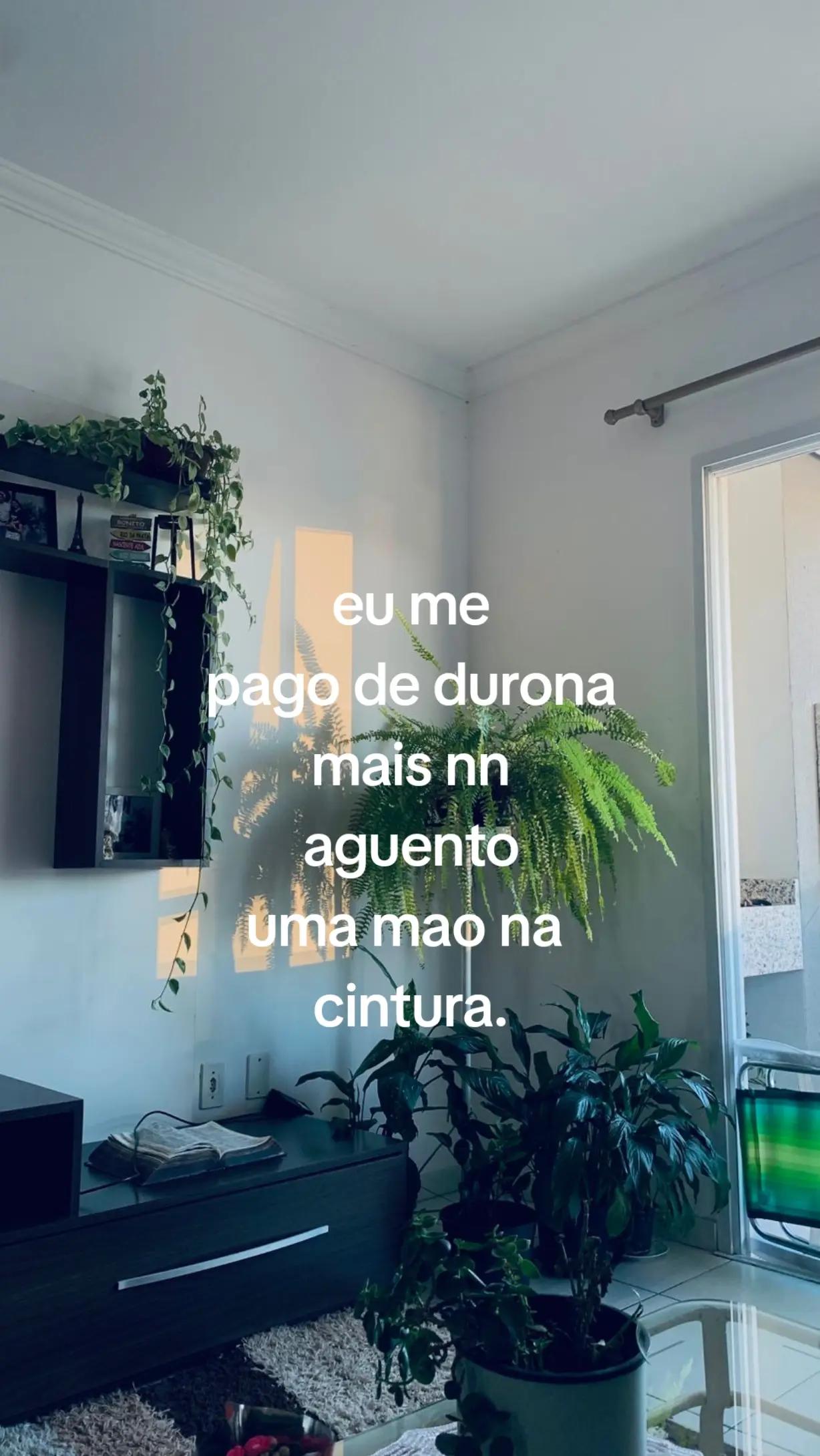 @usu&aacute;rio