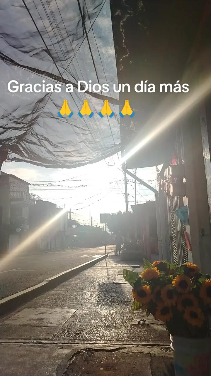 @Aurora Lopez