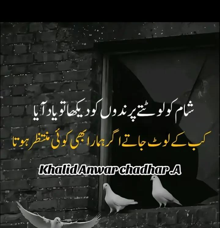 @Khalid Anwar🥰🔥