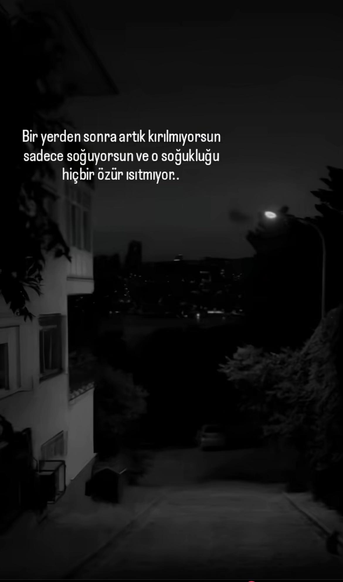 @❤️🩹buzlar kraliçesi.35❤️🩹