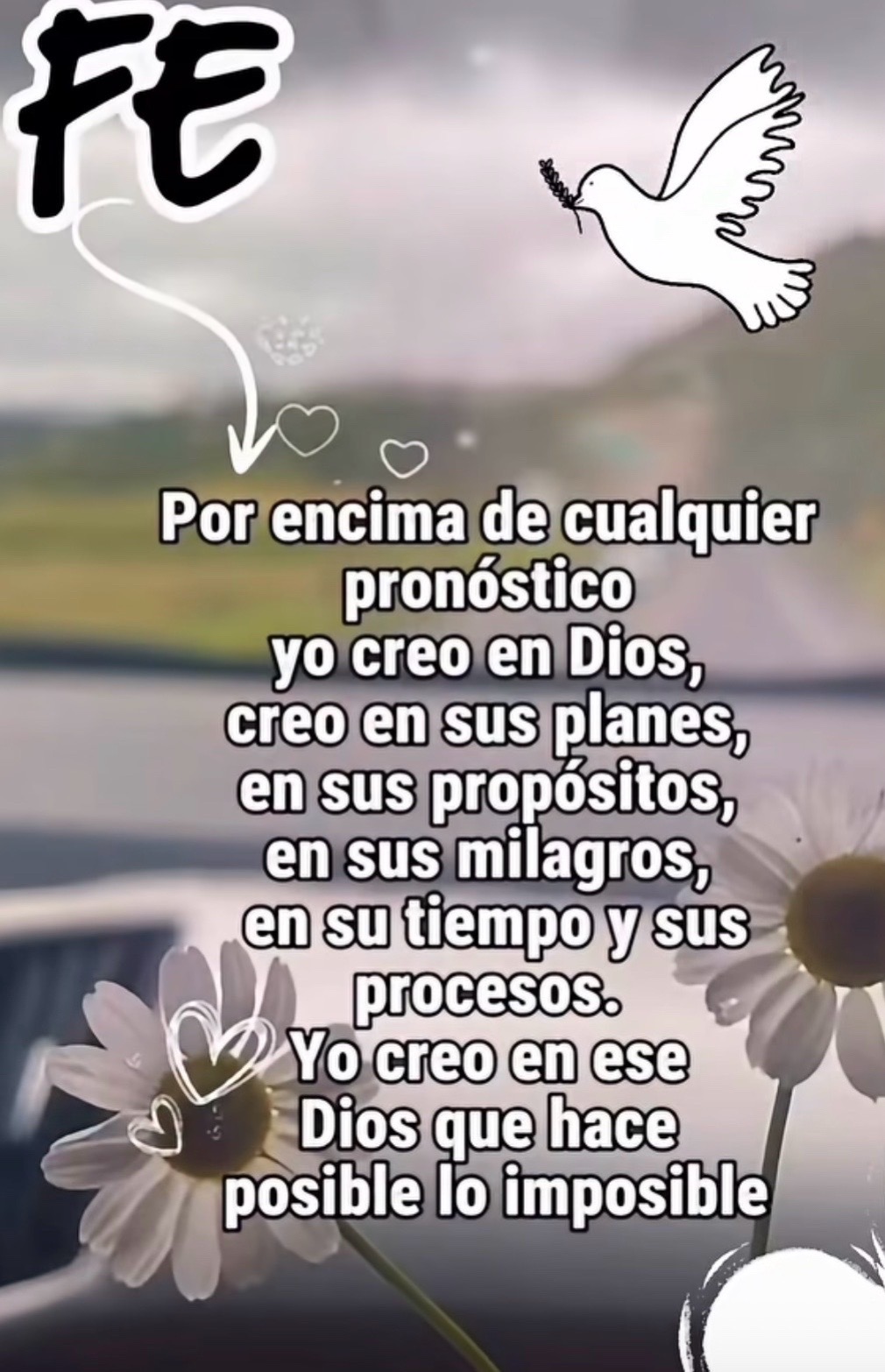 @Leticia