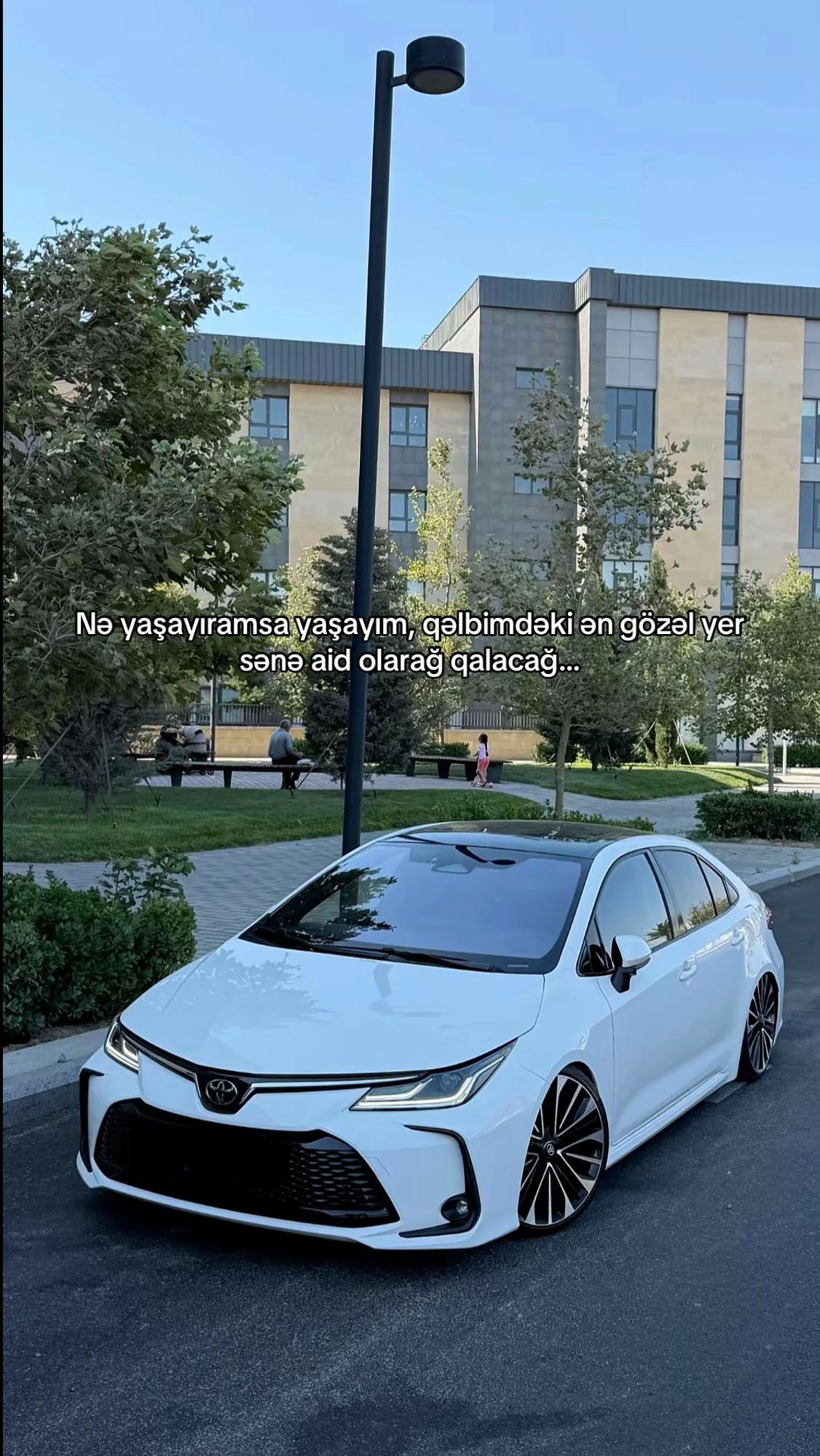 @т.з