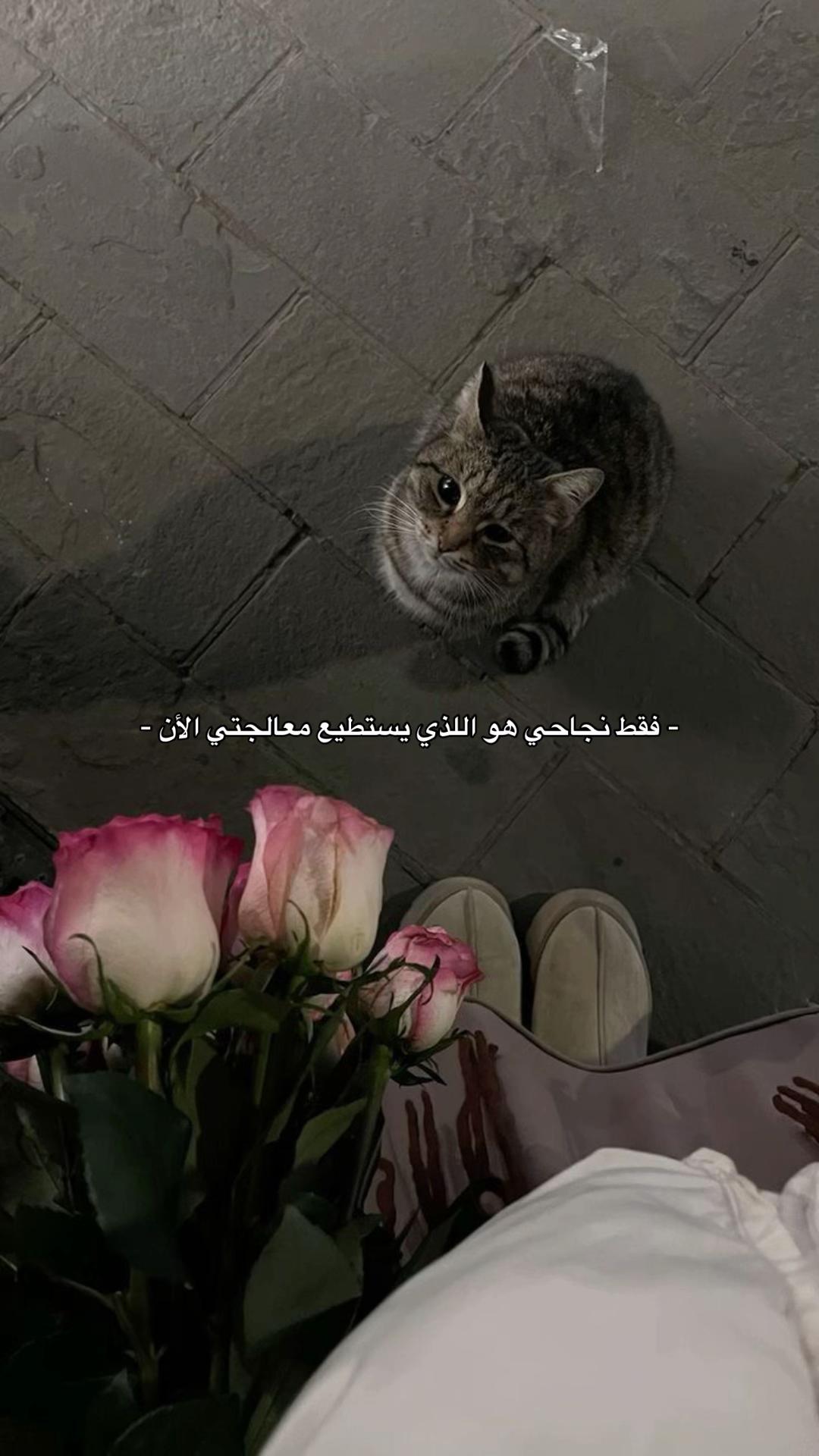 @حُب👸🏻