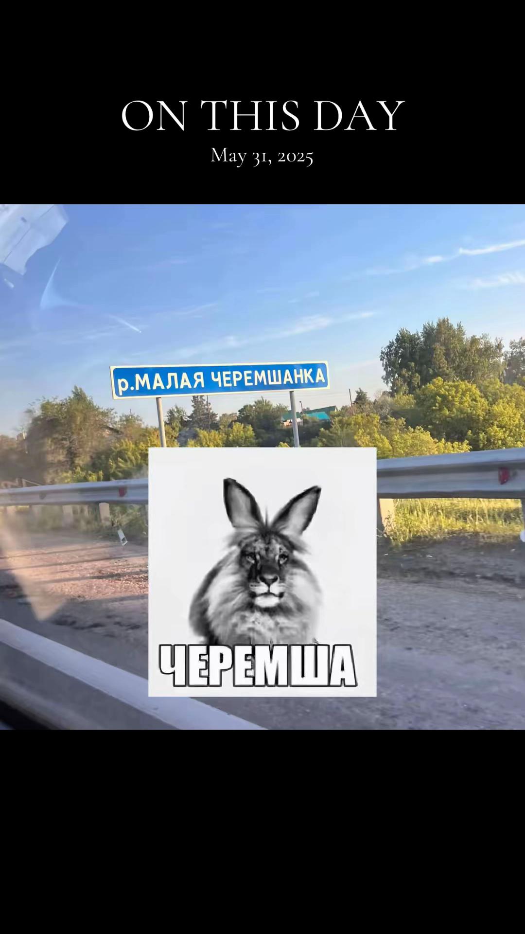 @дилдачок²²⚛️@