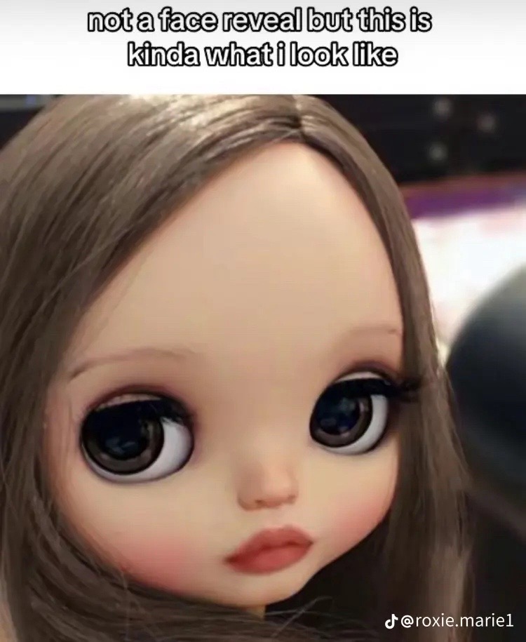 @🪿