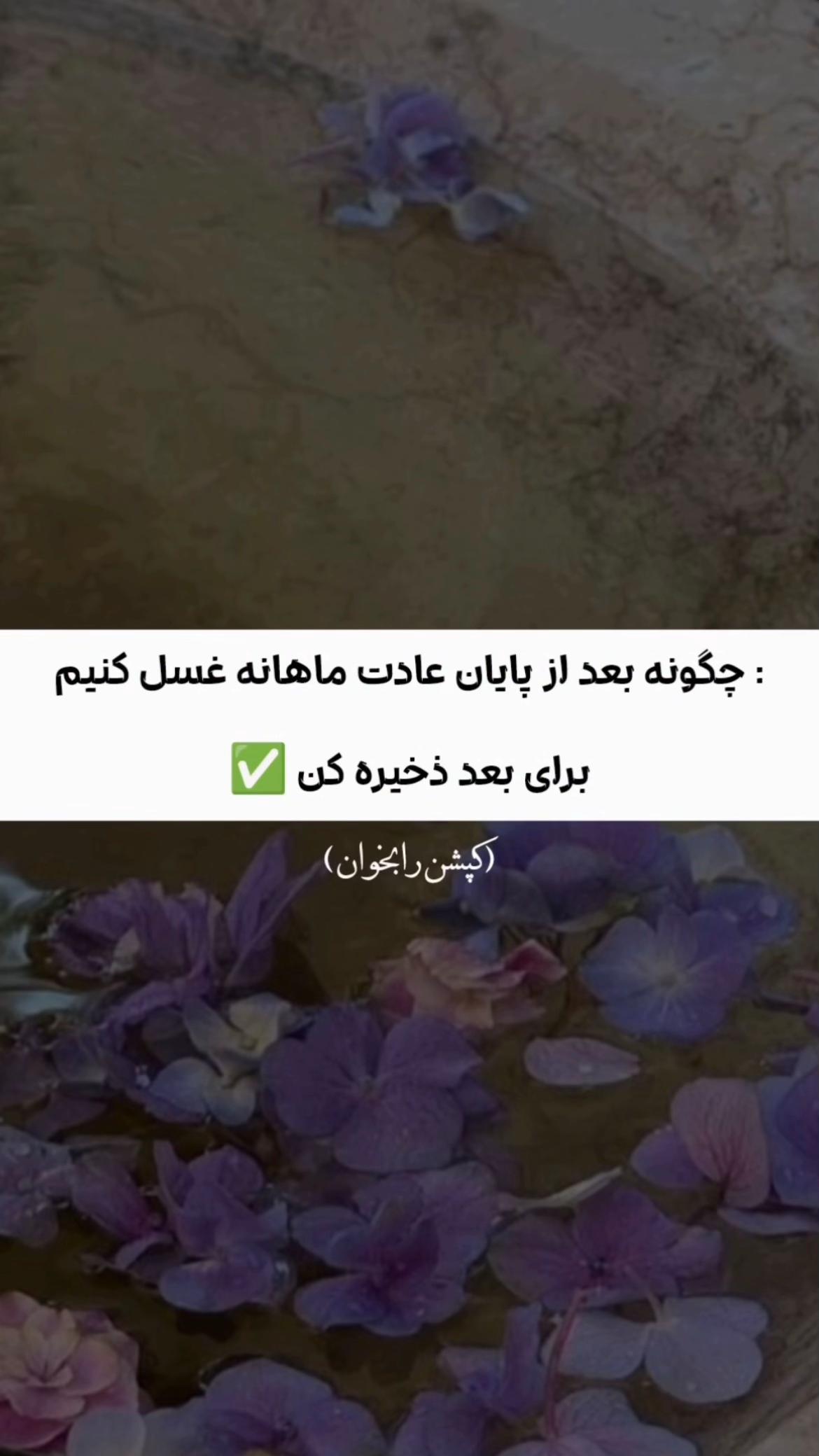 @𓆩ـمدᥫ᭡آحـ𓆪