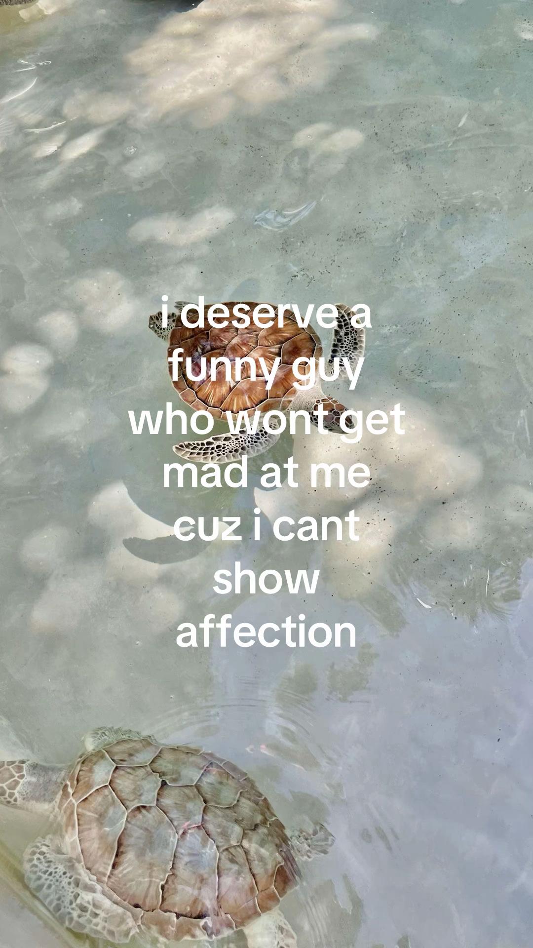 @user
