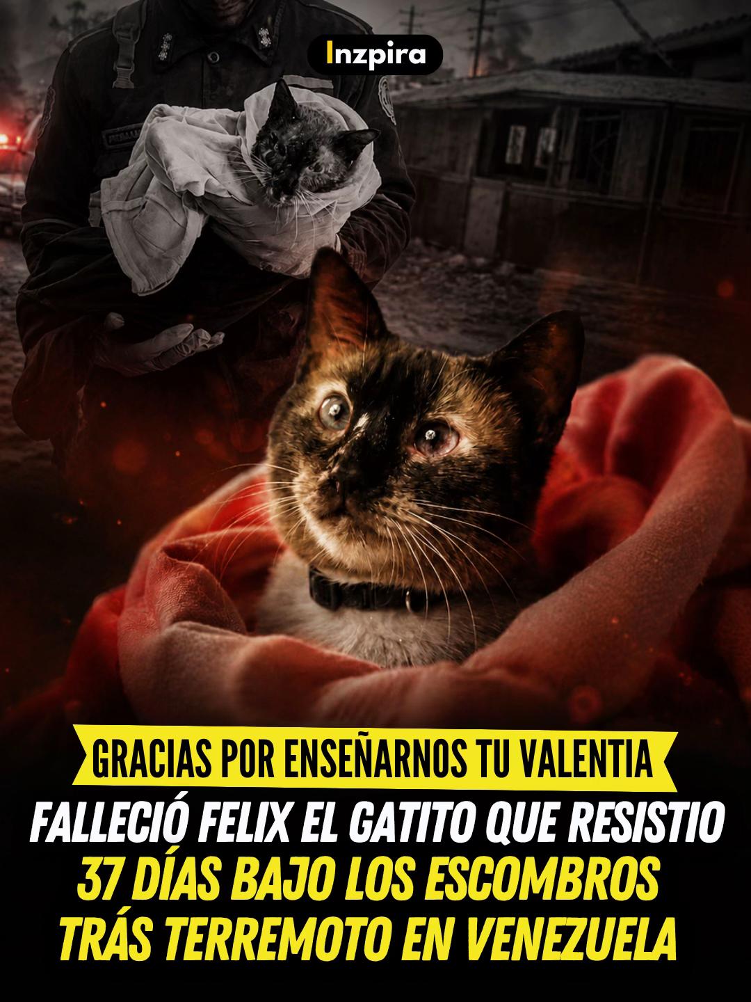 @inzpira.oficial