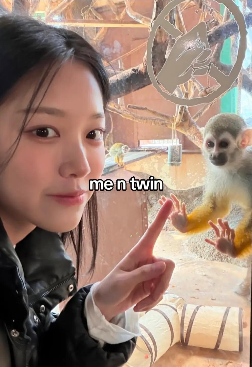 @┊͙ ˘͈ᵕ˘͈