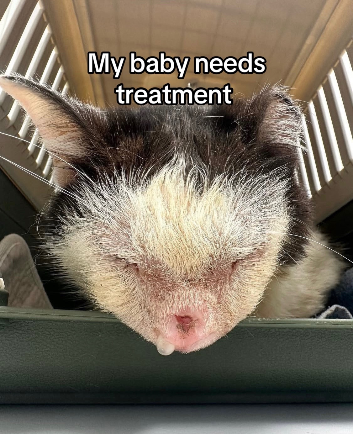 @wemakerescues