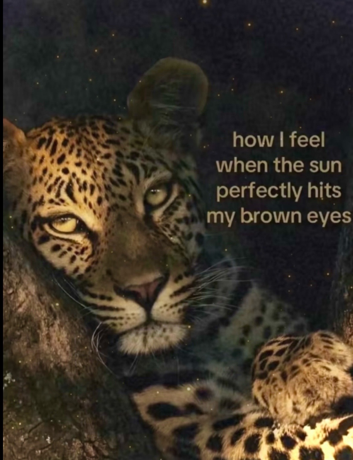 @Zoe