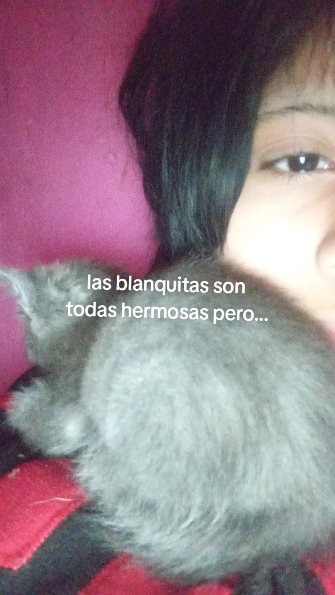 @Te amo Thiago ๐โจ