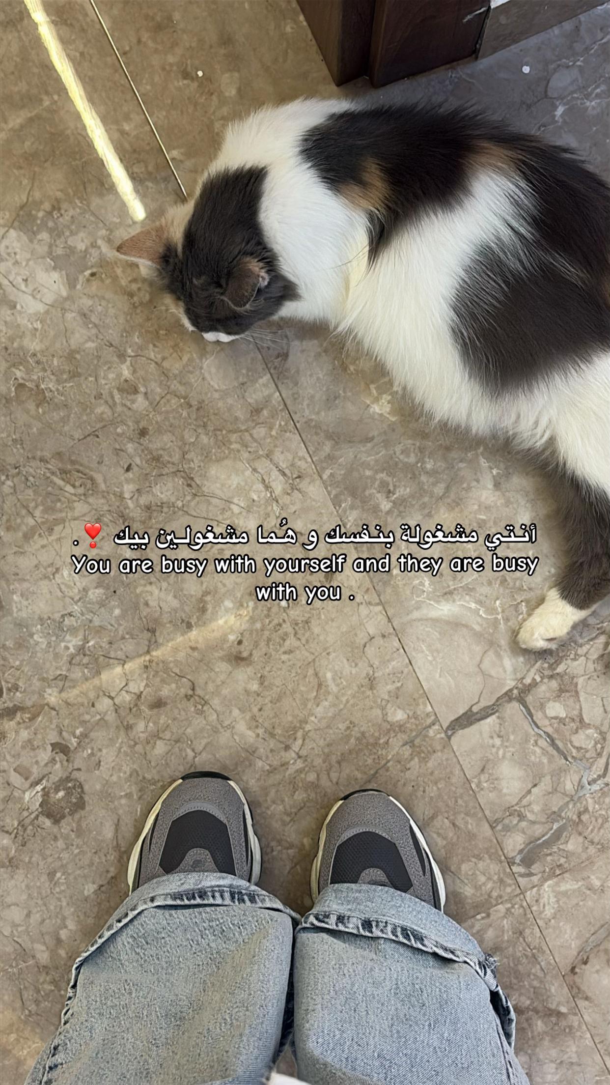 @إيناس المغربِي 🍒.