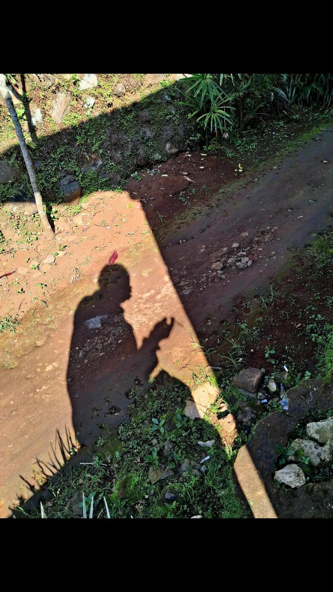 @Fajar_Kurniawan_P