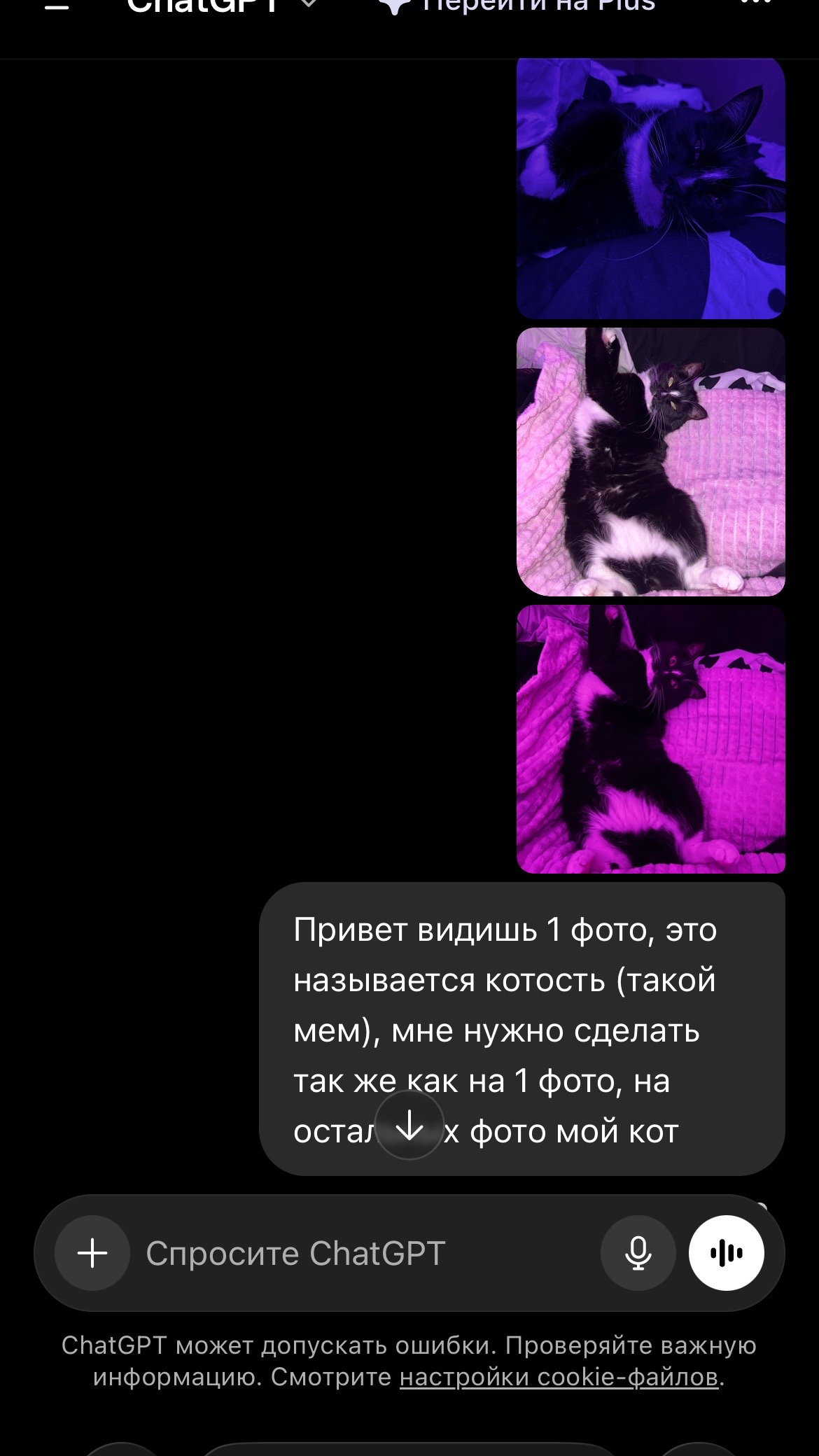 @тгк:психокошка