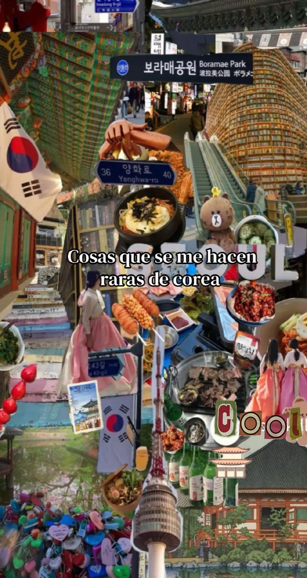 @Selynpr-KOREA🫶