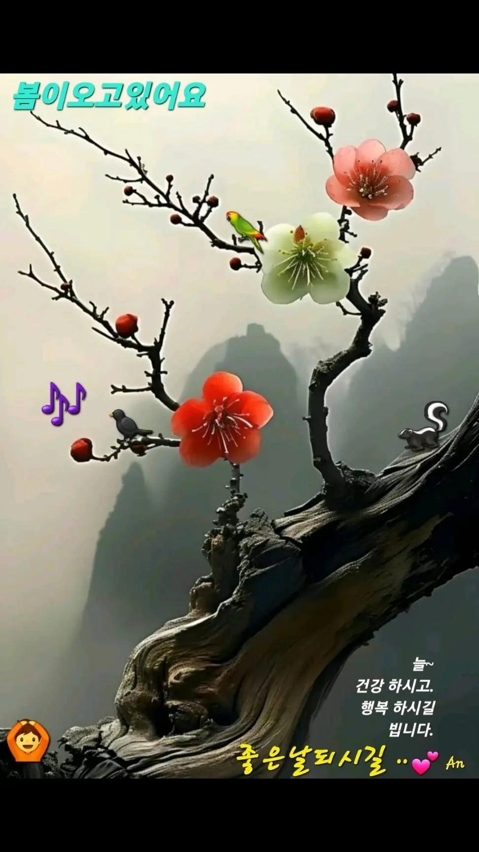 @바라보기